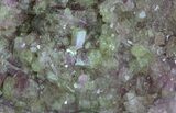 Sparkly Vesuvianite - Jeffrey Mine, Canada #64087-2